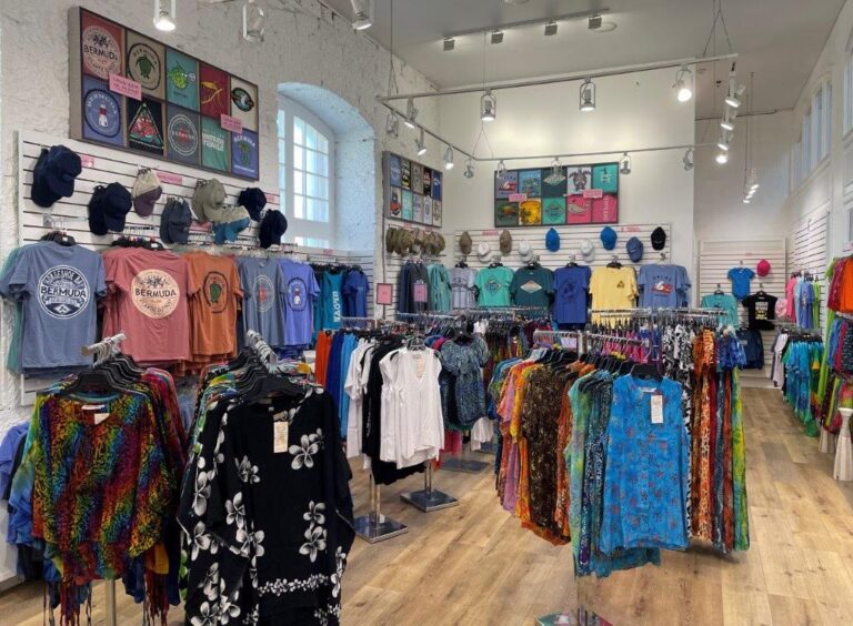 bda triangle 3 1 768x564