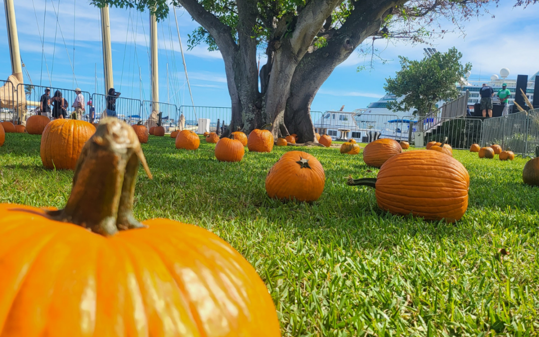 Dockyard’s Fall Festival a success!