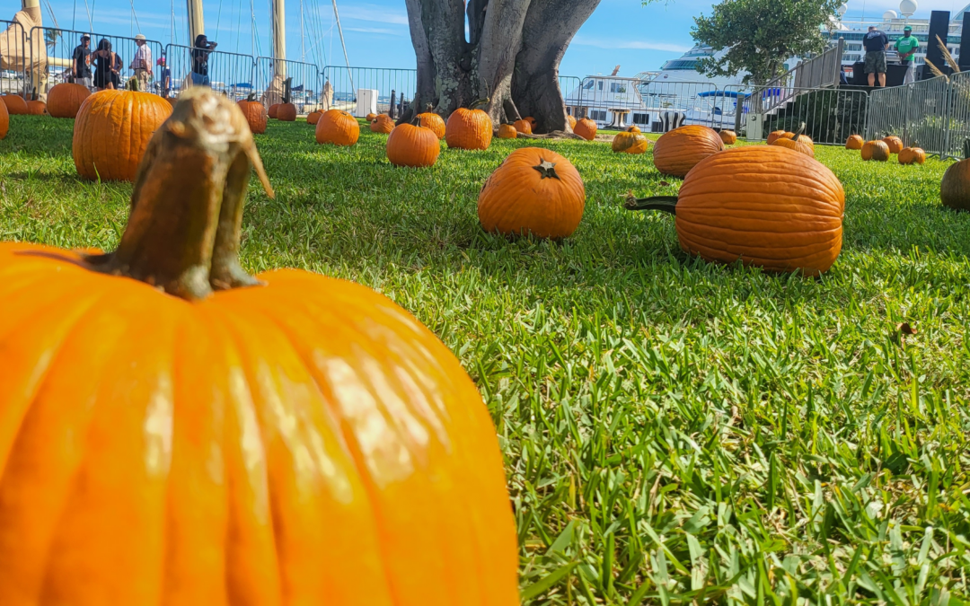 BLMC’s Annual Fall Festival
