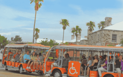 Inclusive Adventures: Accessibility in Dockyard