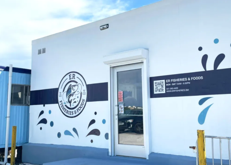 Untitled design 2024 10 01T150258.025 768x549