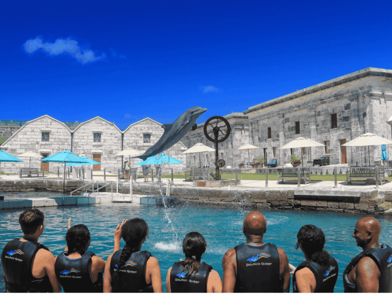 website 8 x 6 in 12 768x576