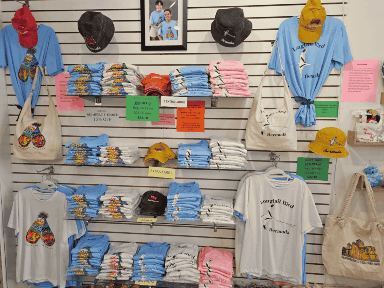 website 8 x 6 in 15 768x576