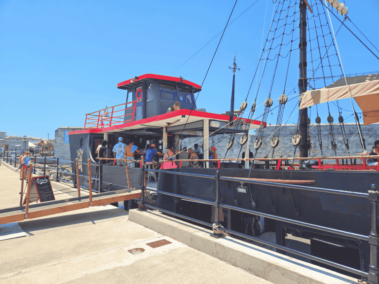 website 8 x 6 in 20 768x576