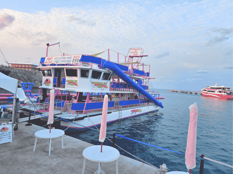 website 8 x 6 in 21 768x576