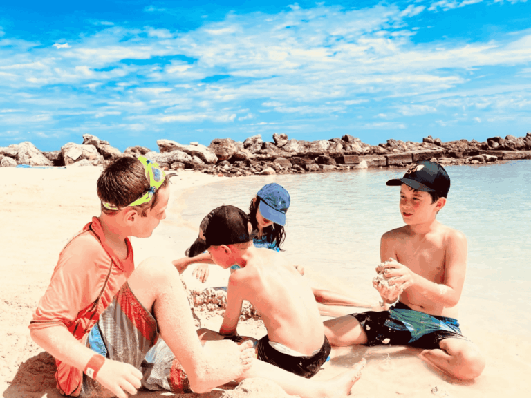 website 8 x 6 in 6 768x576