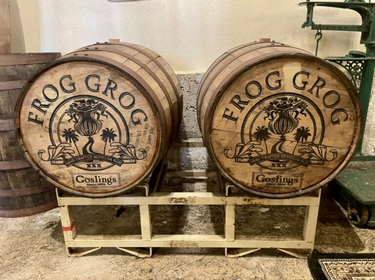 481152348 1207928678004057 6763975254961494743 n 768x575