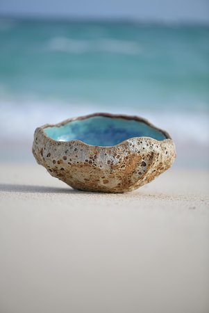 bermuda rockpool wwwjonfaulkne