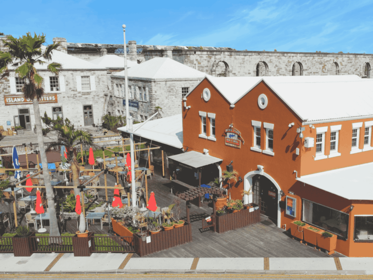 website 8 x 6 in 22 768x576