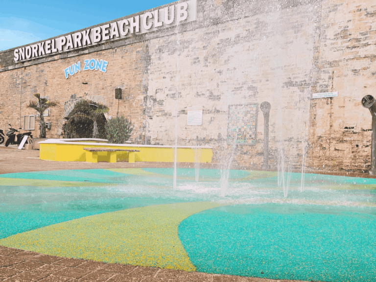 website 8 x 6 in 28 768x576