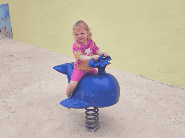 website 8 x 6 in 29 768x576