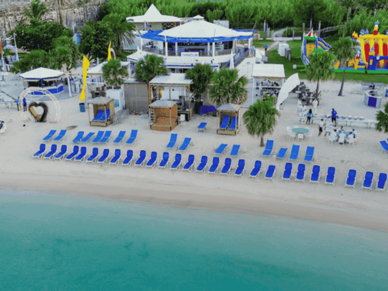 website 8 x 6 in 37 1 768x576