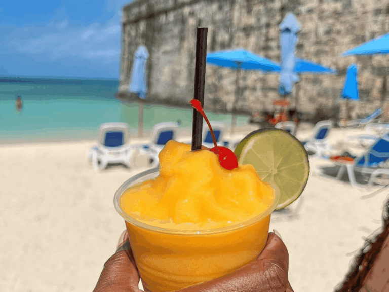 website 8 x 6 in 38 768x576