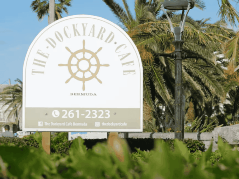 website 8 x 6 in 43 768x576