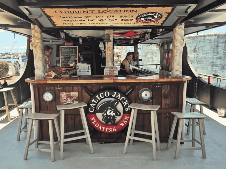 website 8 x 6 in 53 1 768x576