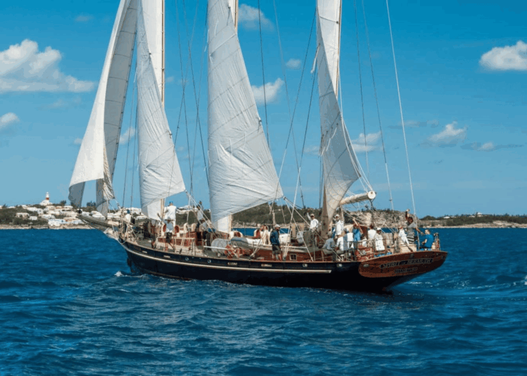 Dockyard BDA 18 768x549