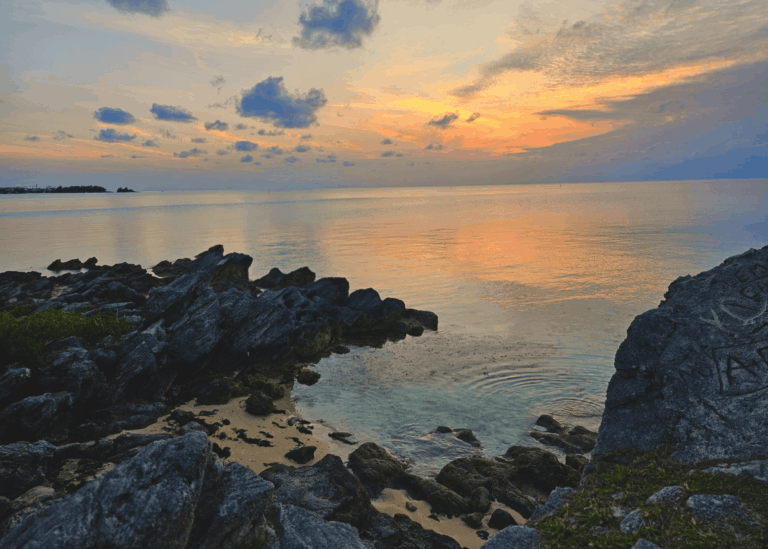 Dockyard BDA 32 768x549